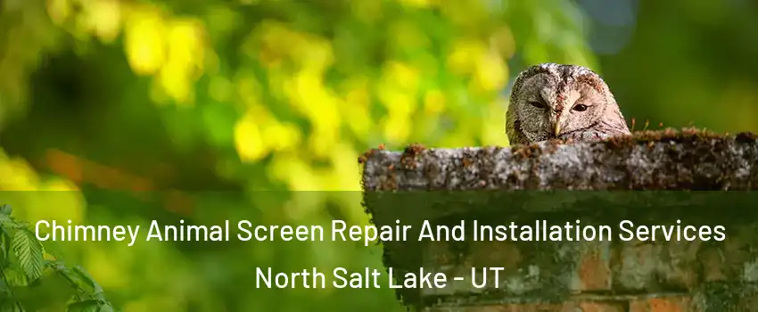  Chimney Animal Screen Repair And Installation Services North Salt Lake - UT
