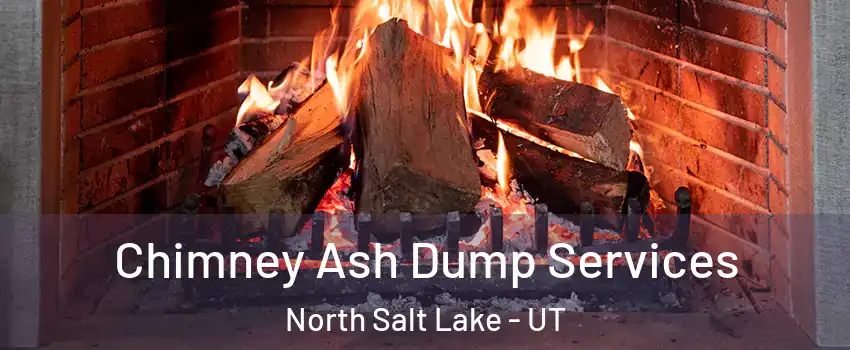  Chimney Ash Dump Services North Salt Lake - UT