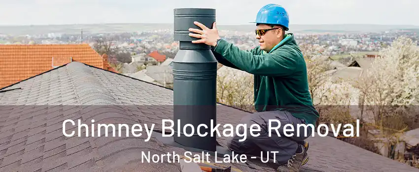 Chimney Blockage Removal North Salt Lake - UT