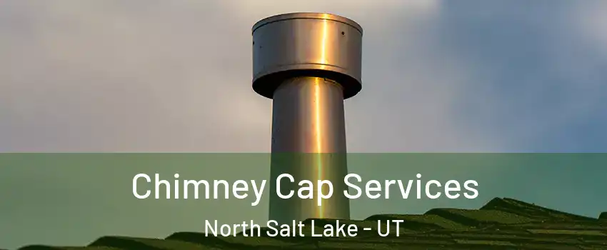  Chimney Cap Services North Salt Lake - UT