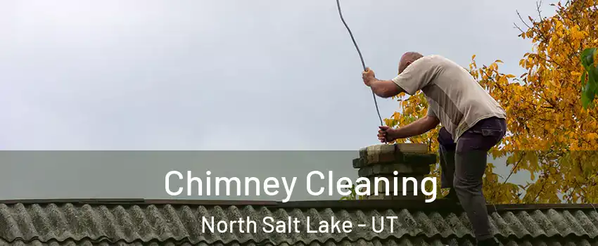  Chimney Cleaning North Salt Lake - UT