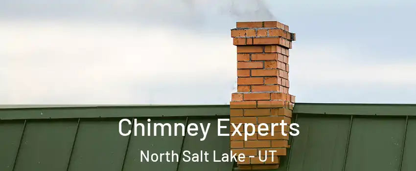  Chimney Experts North Salt Lake - UT