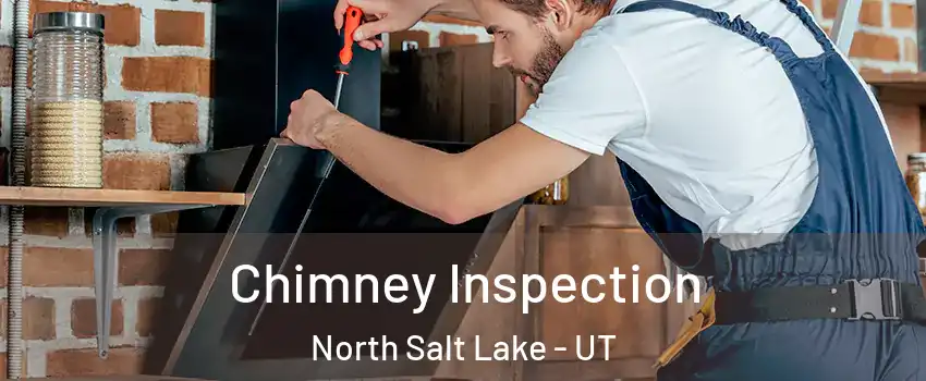  Chimney Inspection North Salt Lake - UT
