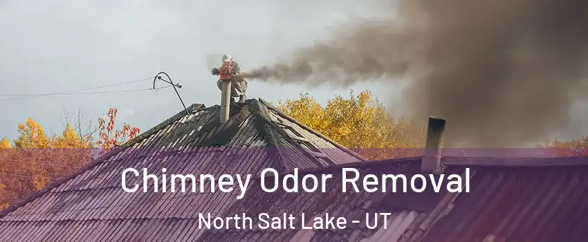  Chimney Odor Removal North Salt Lake - UT