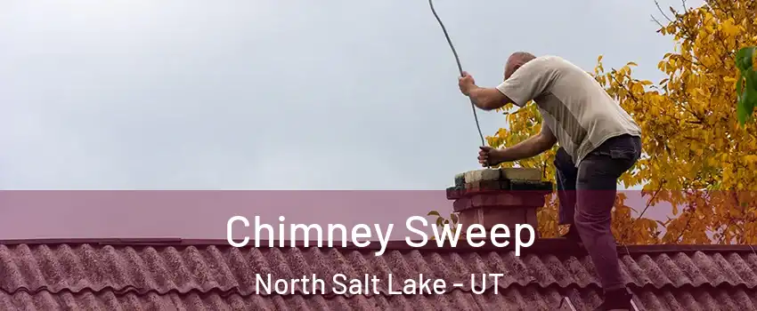 Chimney Sweep North Salt Lake - UT