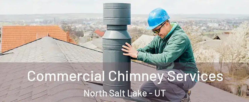  Commercial Chimney Services North Salt Lake - UT