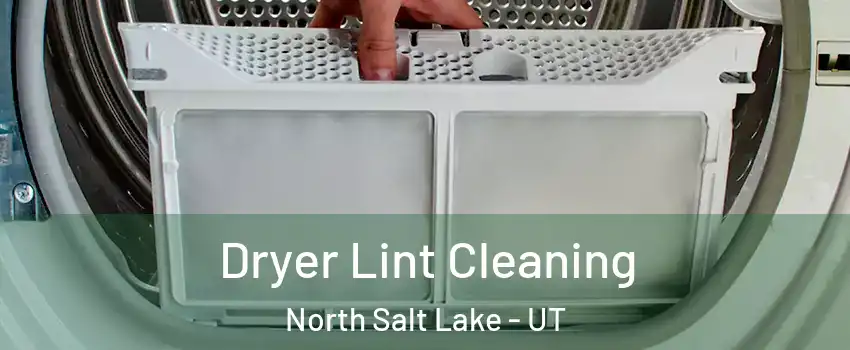  Dryer Lint Cleaning North Salt Lake - UT