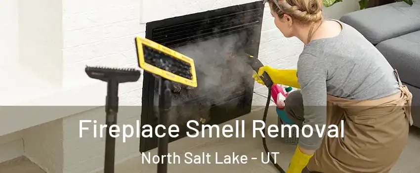 Fireplace Smell Removal North Salt Lake - UT