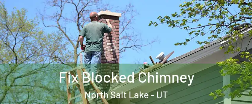  Fix Blocked Chimney North Salt Lake - UT