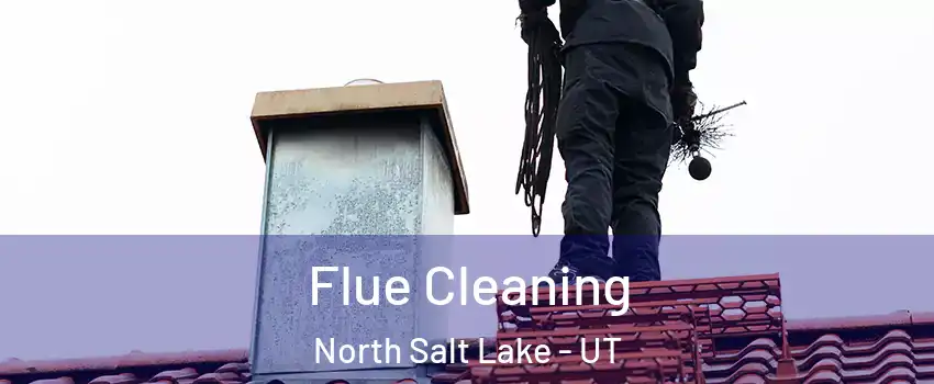  Flue Cleaning North Salt Lake - UT