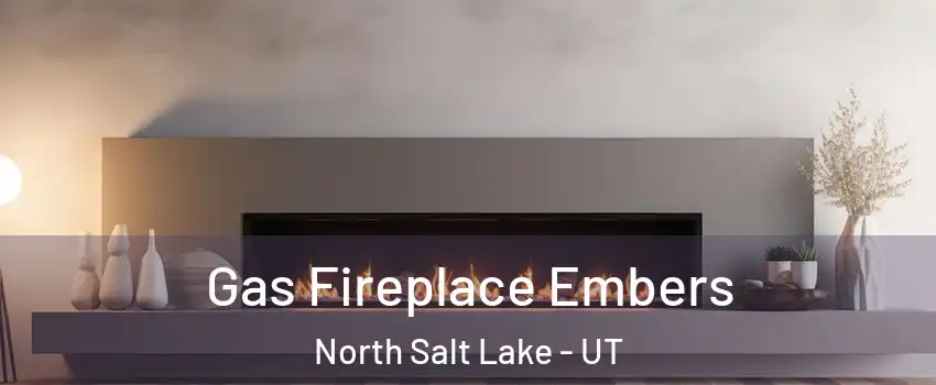  Gas Fireplace Embers North Salt Lake - UT
