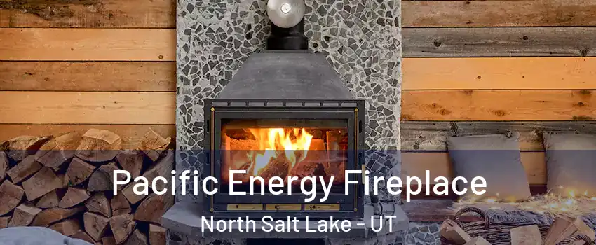 Pacific Energy Fireplace North Salt Lake - UT